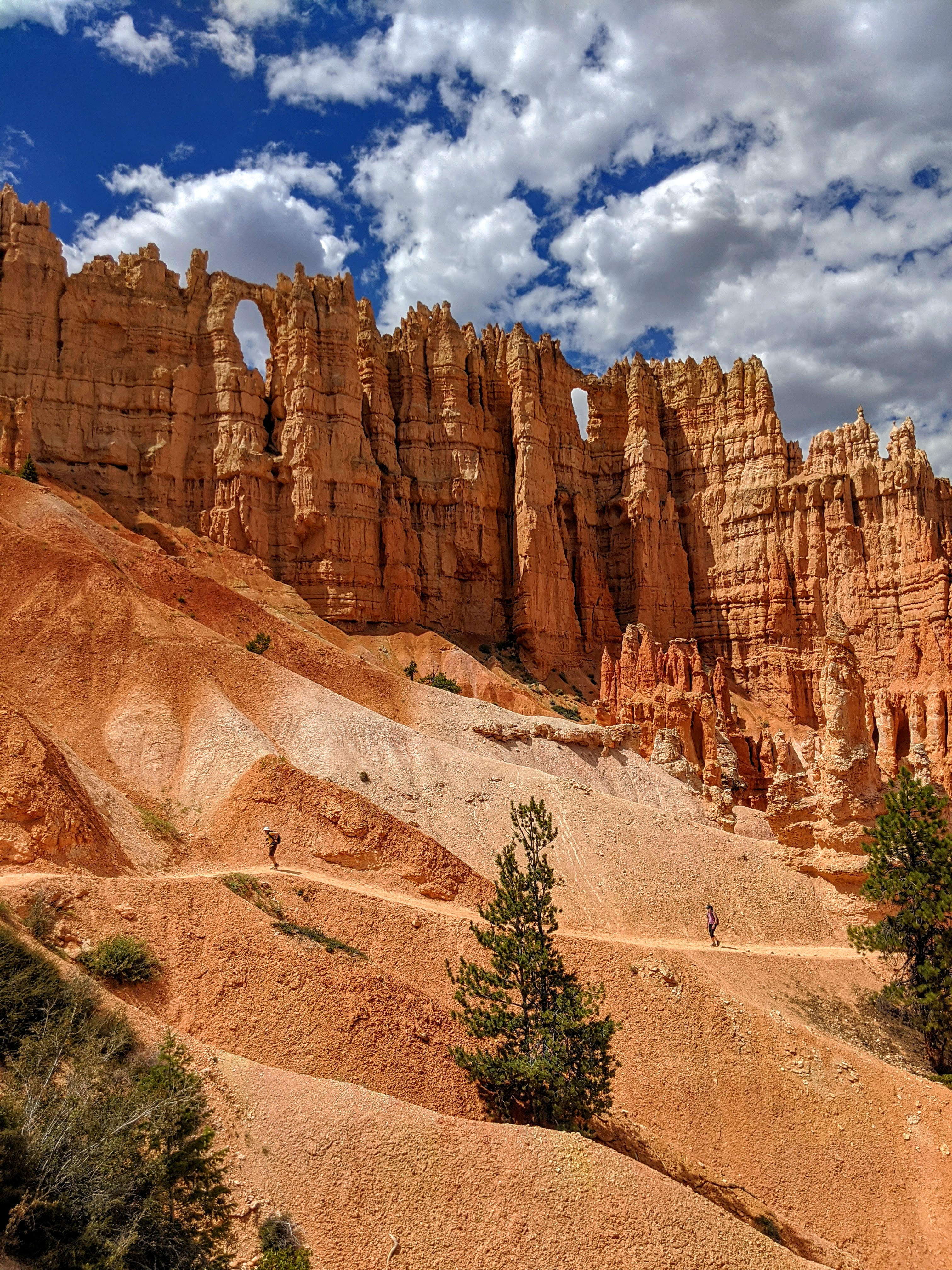 Bryce's wall of windows