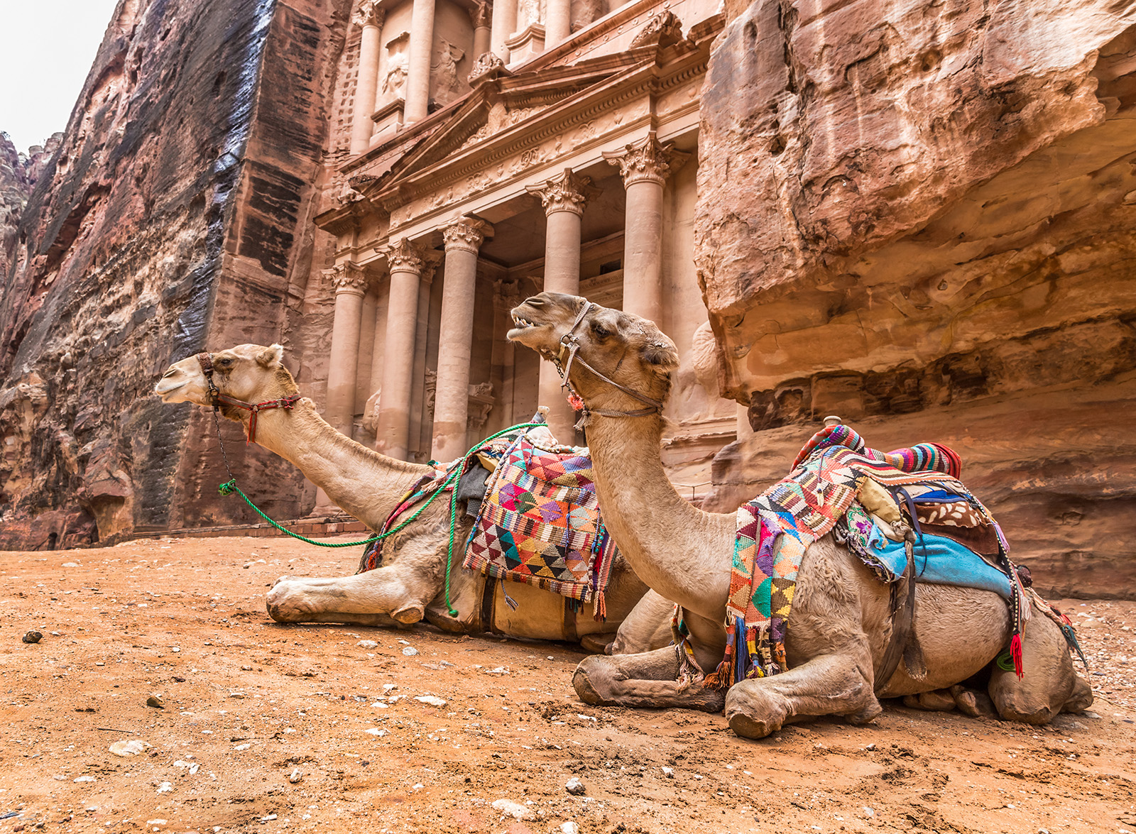 15 Day Jewish Heritage Israel & Petra Tours