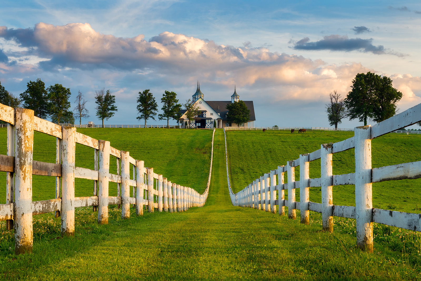 Kentucky Bike & Bourbon Tour | Backroads Cycling Vacations