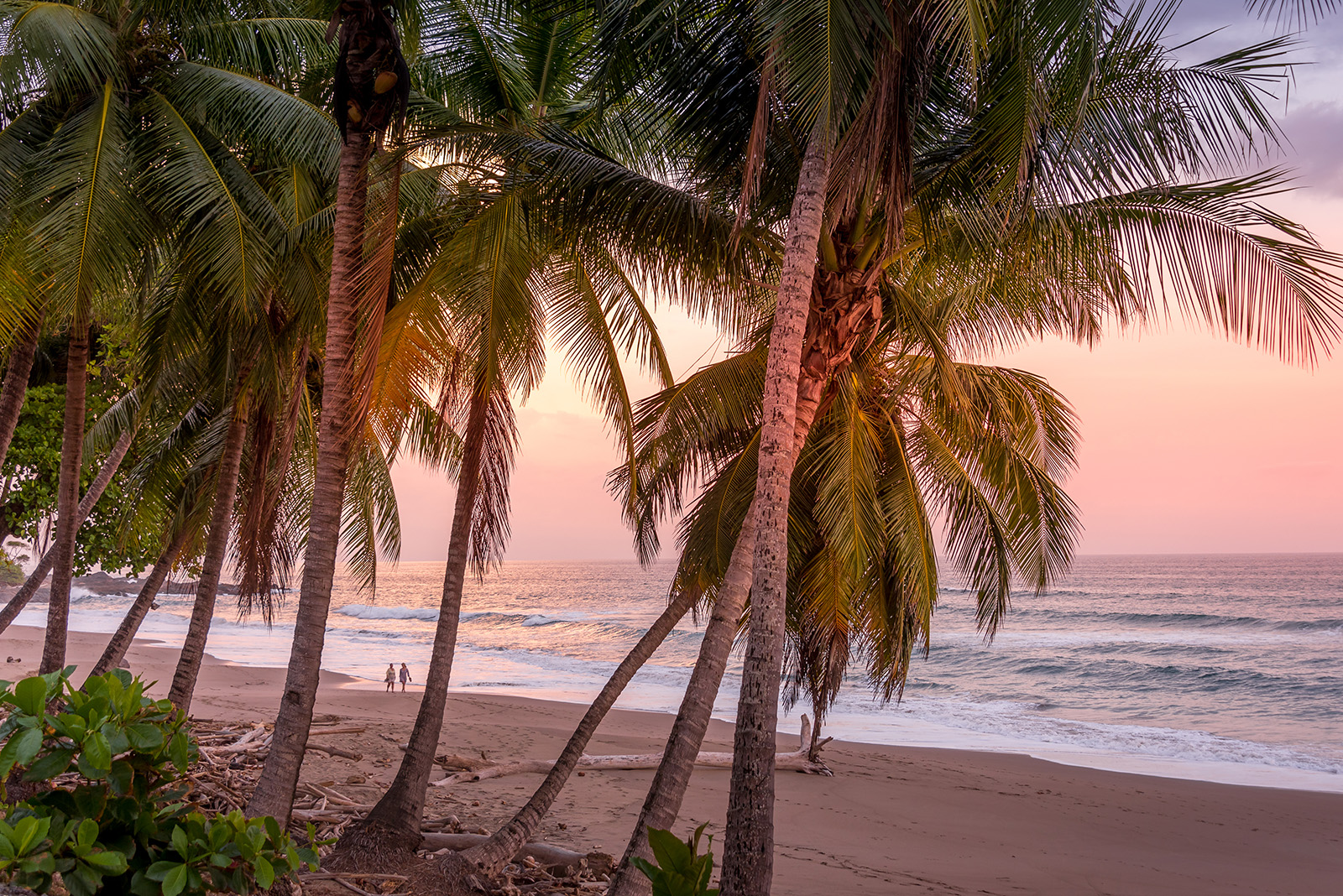 Costa Rica Bike Tour: Rain Forests & Volcanoes | Backroads