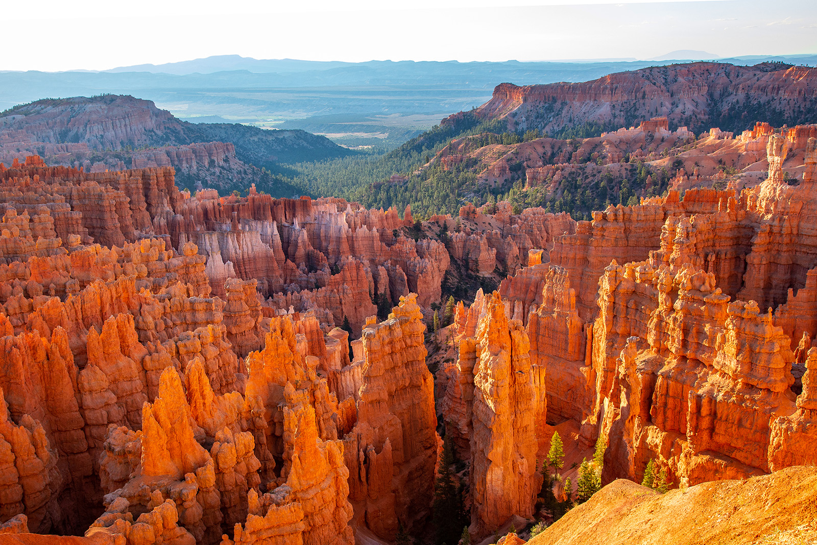 bryce canyon guided hiking tours