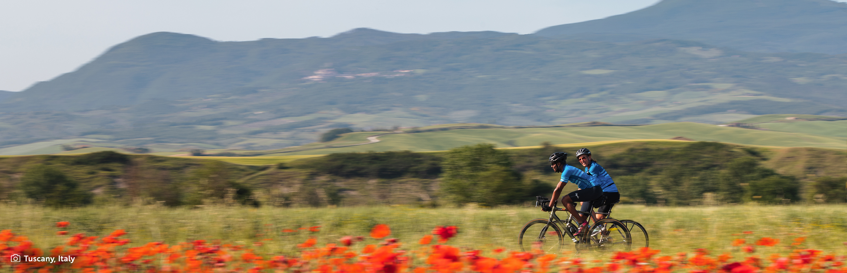 cyclist riding through flower fields