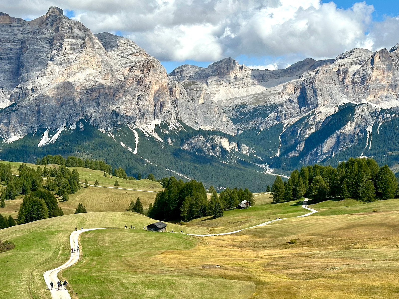 Green field with mountain range and clouds