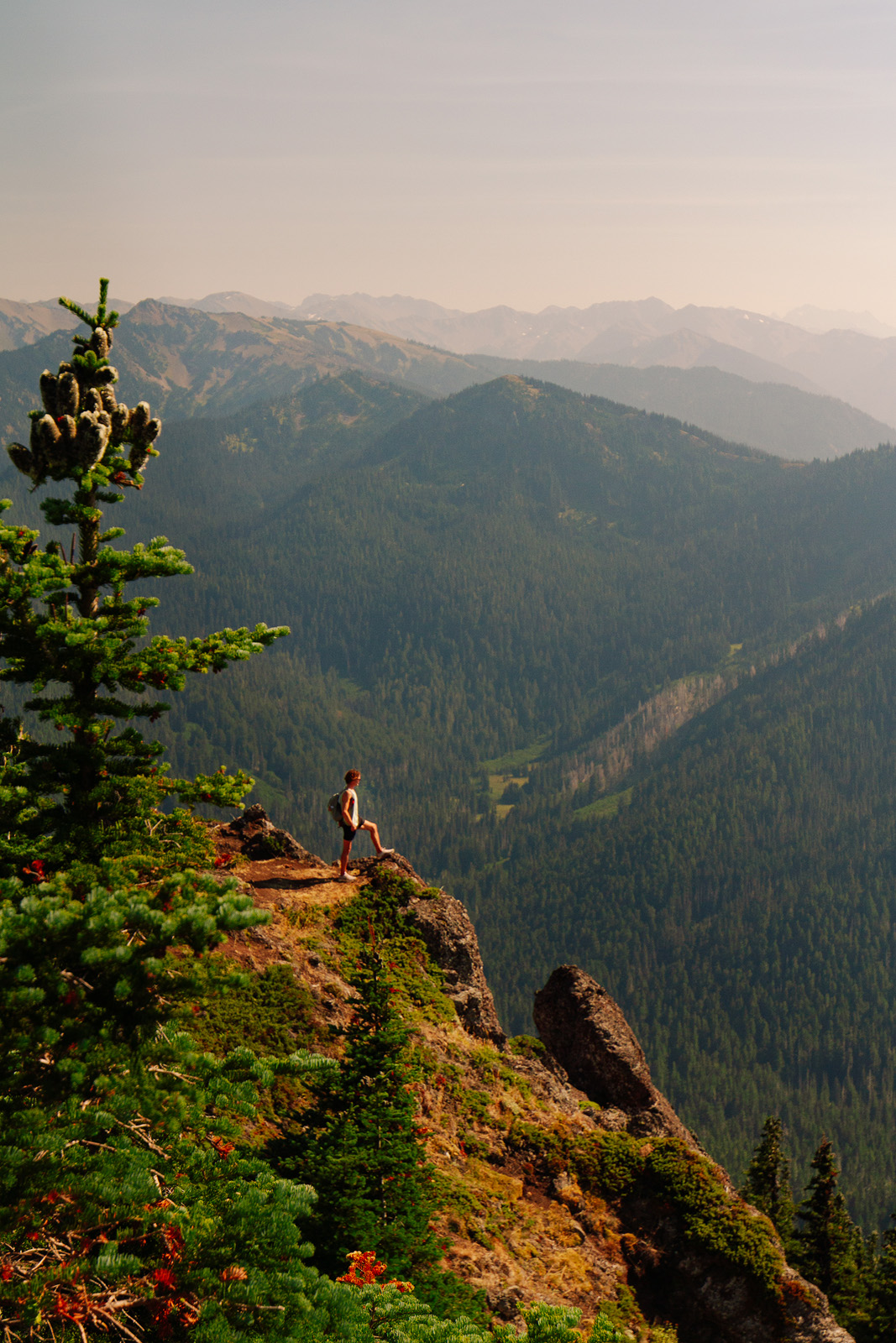 Hiker overlooking mountains and fog