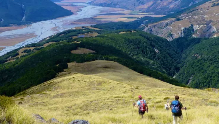 New Zealand Hiking