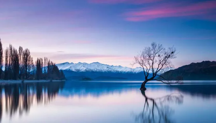 Wanaka Tree at Sunset - The Most Photographed Tree in New Zealand