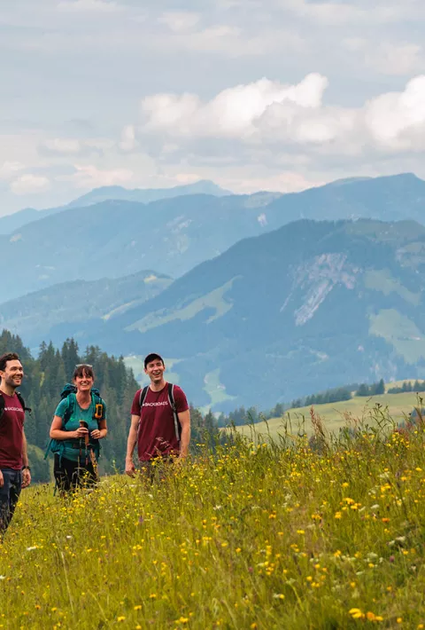 Group of hikers in the rolling green hills of Bavaria