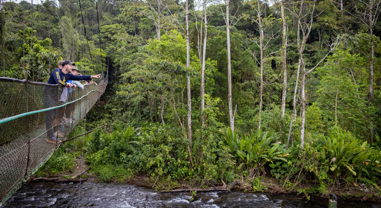 23 Best Rainforest Tours, Trips & Cruises 2024-2025