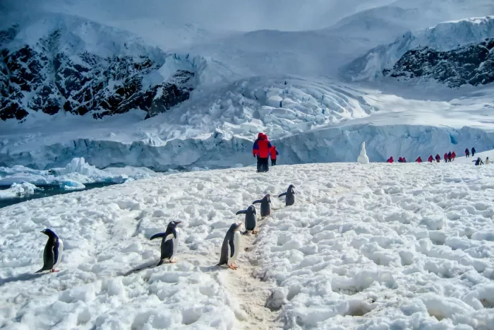 Antarctica: When To Visit