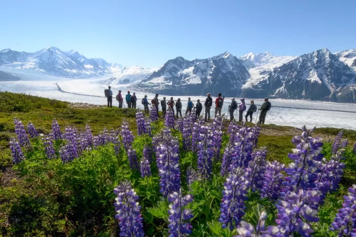 The Best Time to Visit Alaska