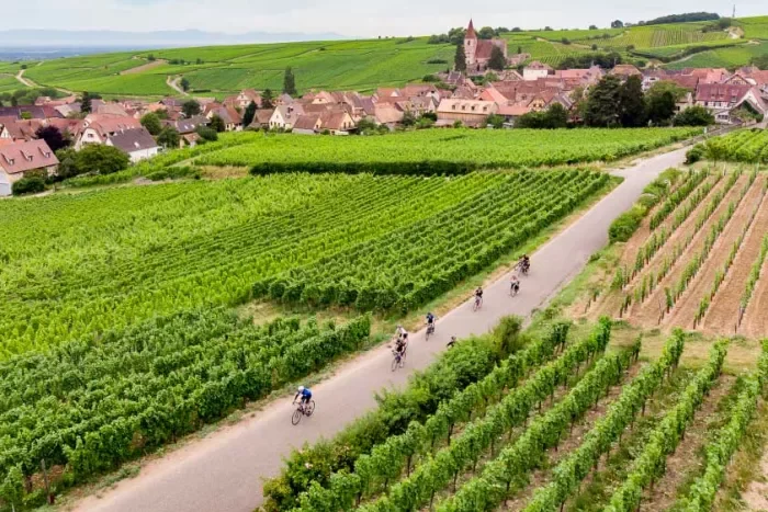 France Vineyard Bikers