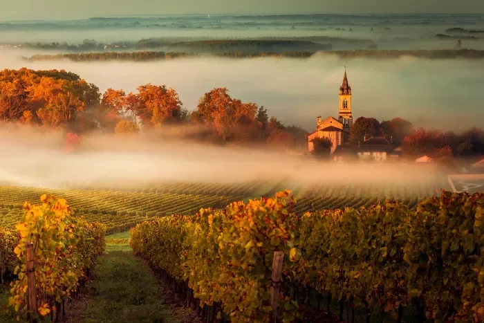 Scenic Bordeaux Vineyard and Landscape