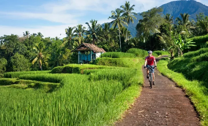 Indonesia, Bali, Tegalalang, Man cycling through country road