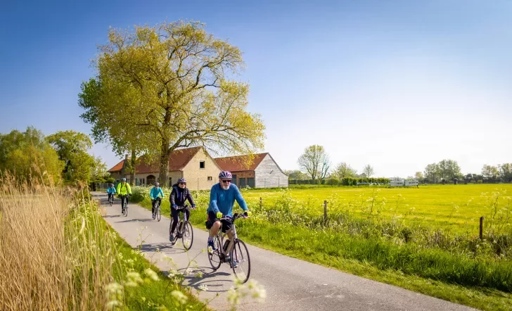 Guests biking in the countryside