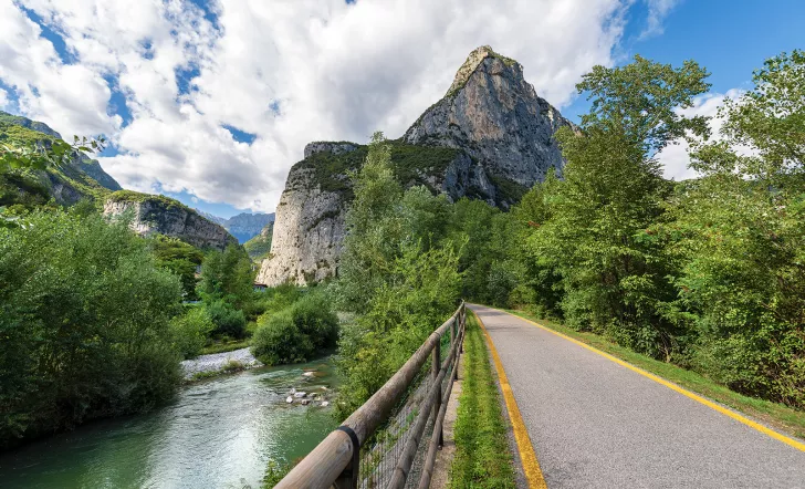 Road leading to mountains and trees