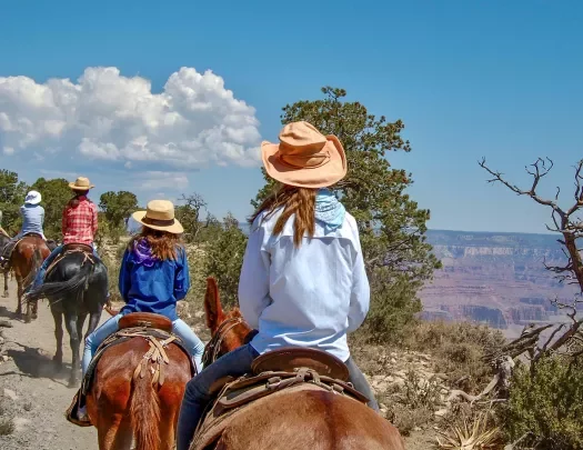 Rear-shot of guests on horseback, overlooking arid, orange rock valley.