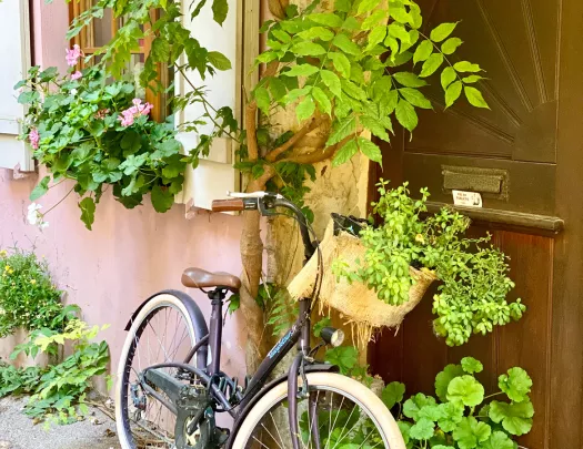 Bike Leaning on Building in Alsace