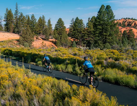 Biking through Bryce and Zion National Park