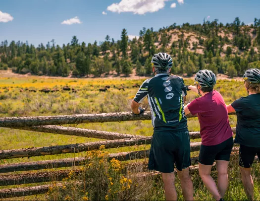 Rear shot of three guests in bike gear, looking towards grassy meadow.