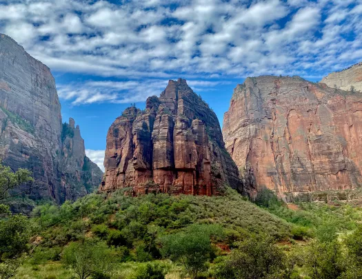 Wide shot of cliffs in Zion, clouds, bushes, etc.