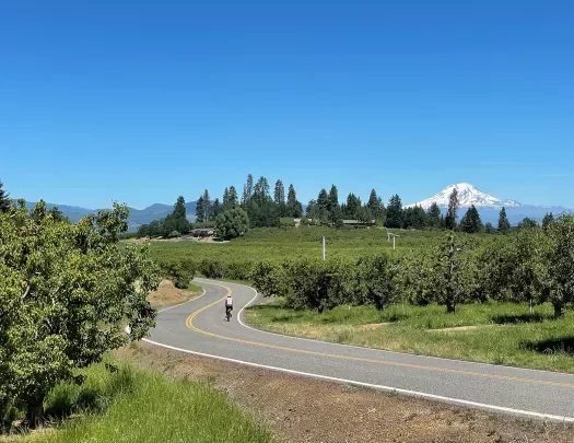 Guest cycling past fruit trees, Mount Hood in background.