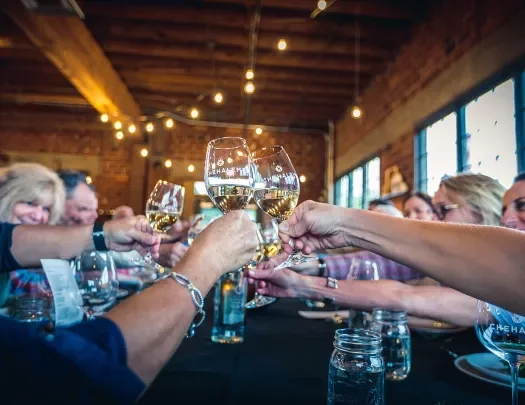 Group of guests cheersing wine glasses over a meal.