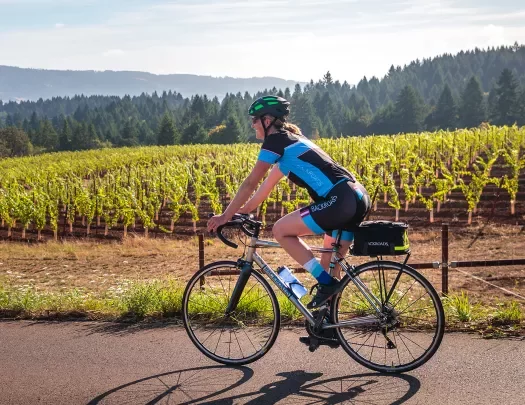 Guest cycling past young vineyard.