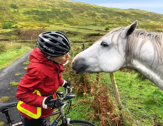 Guest Cyclist Talking to Horse Ireland