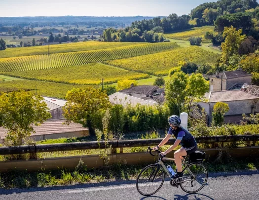 Guest cycling past French village, looking towards grapevine fields.