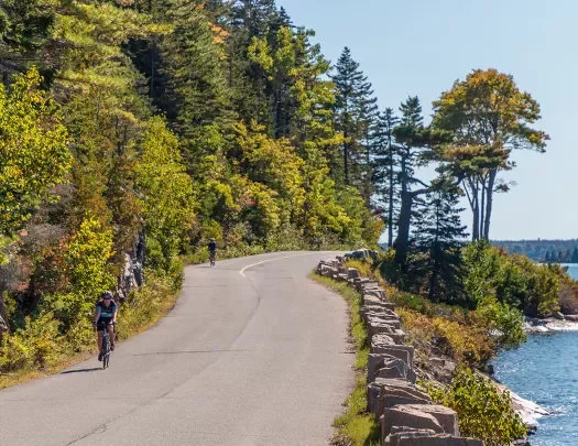 Guest biking along coastal road, trees on their right.