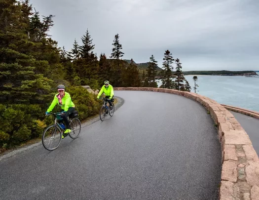 Two guests cycling on costal road, forest to their right, ocean to their left.