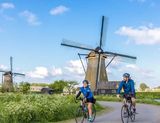Guests riding past windmills