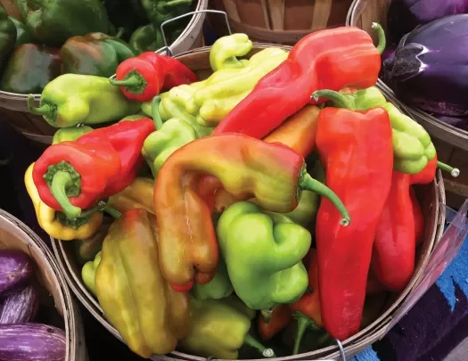 Colorful peppers in basket