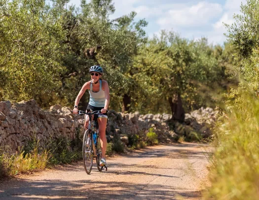 Guest cycling down gravel road, rock fence and olive trees to her right.