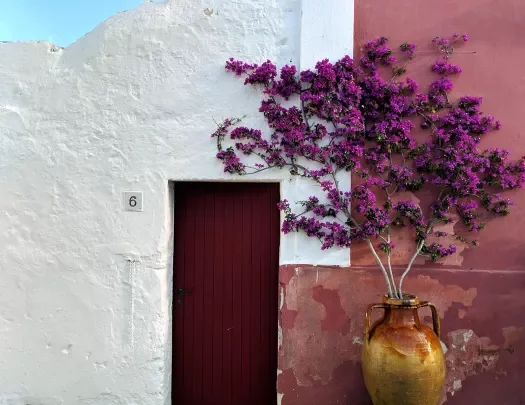 Close-up of building, white and red walls, red door and purple flowers visible.