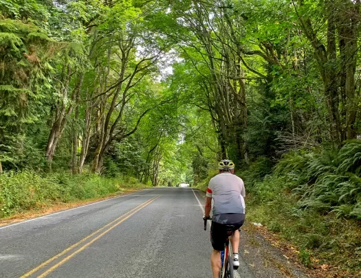 Guest cycling down forest-covered road.
