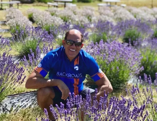 Guest crouching among field of lavender bushes.