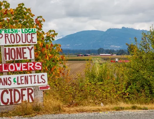"LOCAL PRODUCE" sign, crops and farm in background.