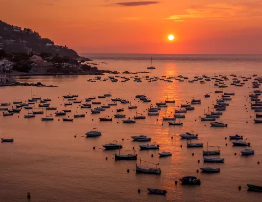 Bay full of boats at sunset