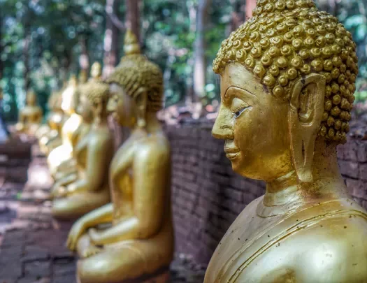 Collection of goldenBuddha statues