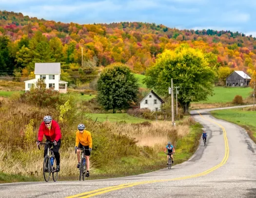 Four guests cycling up autumnal road, house, forest in distance.