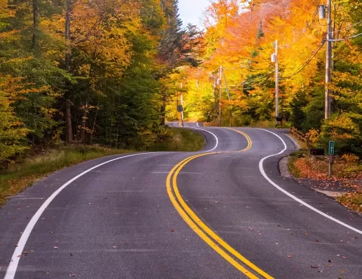 Beautiful shot of autumnal, winding road.