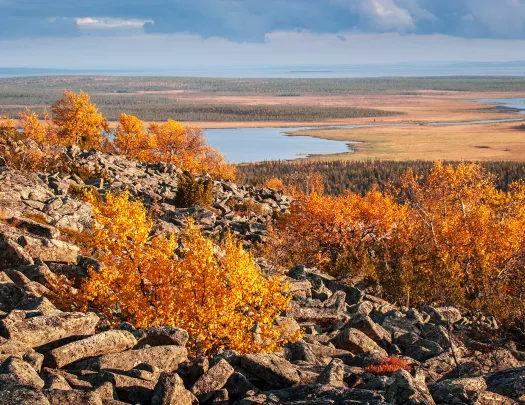 Wide shot of craggy, golden hillside, marshland in distance. 