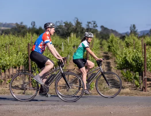 Two guests on e-bikes riding past vineyard.