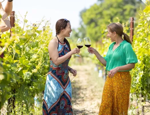 Two guests in vineyard, smiling, cheersing wine glasses.