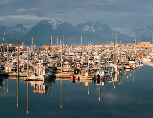 Many small boats parked in a harbor in Alaska.