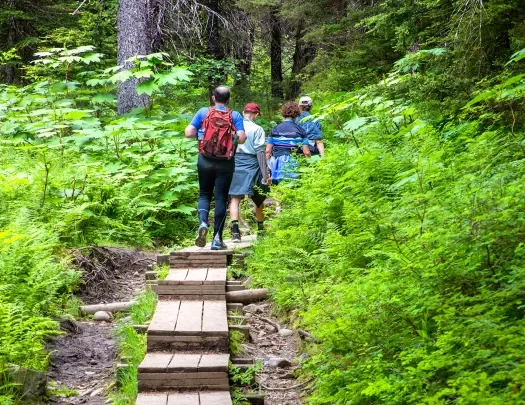 Guests hiking on path in woods