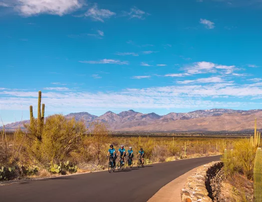 Landscape shot of bikers on road in Arizona