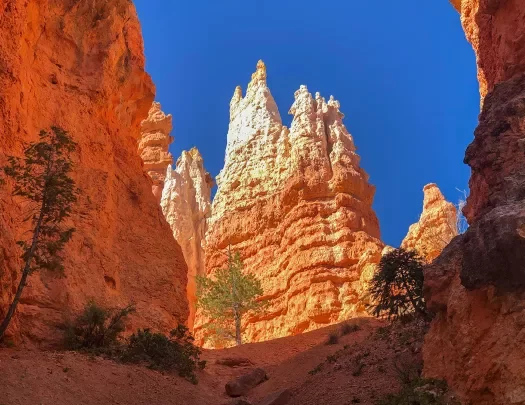 Red rocks and hoodoos in Bryce and Zion National Parks