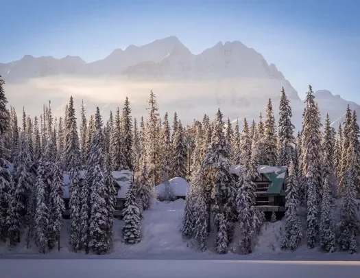 Wide shot of snowy forest, houses covered, mountains in distance.